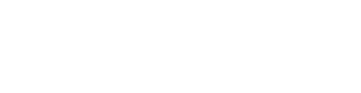 Dominick Consulting LLC