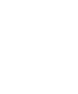 Dominick Consulting LLC
