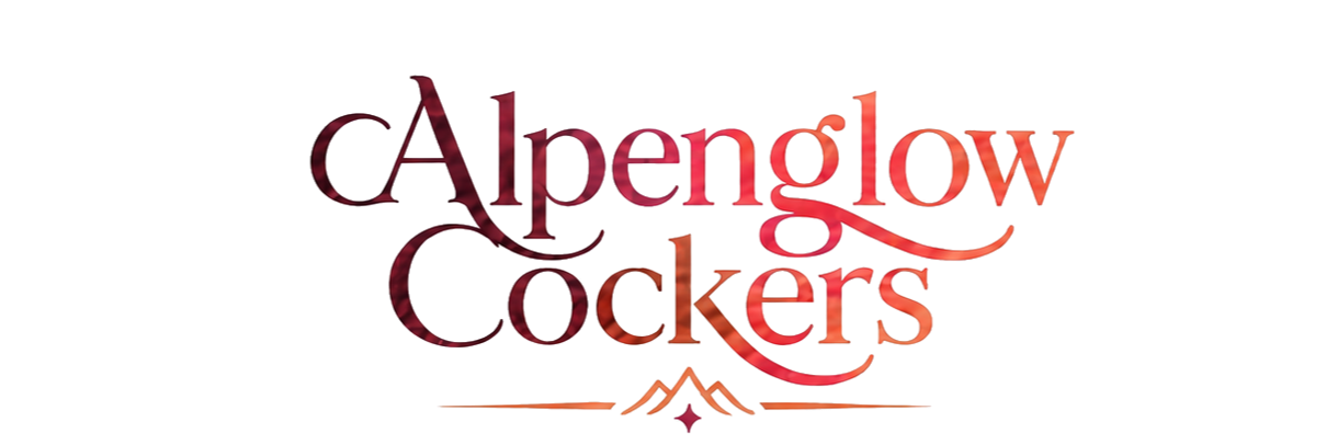 Alpenglow Cockers