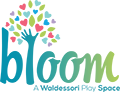 Bloom Waldessori Play Space