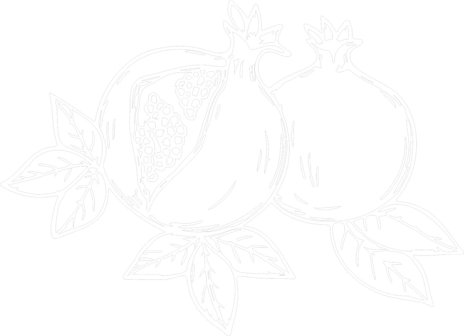 Fruit of the Womb Doula Services | West Valley, AZ