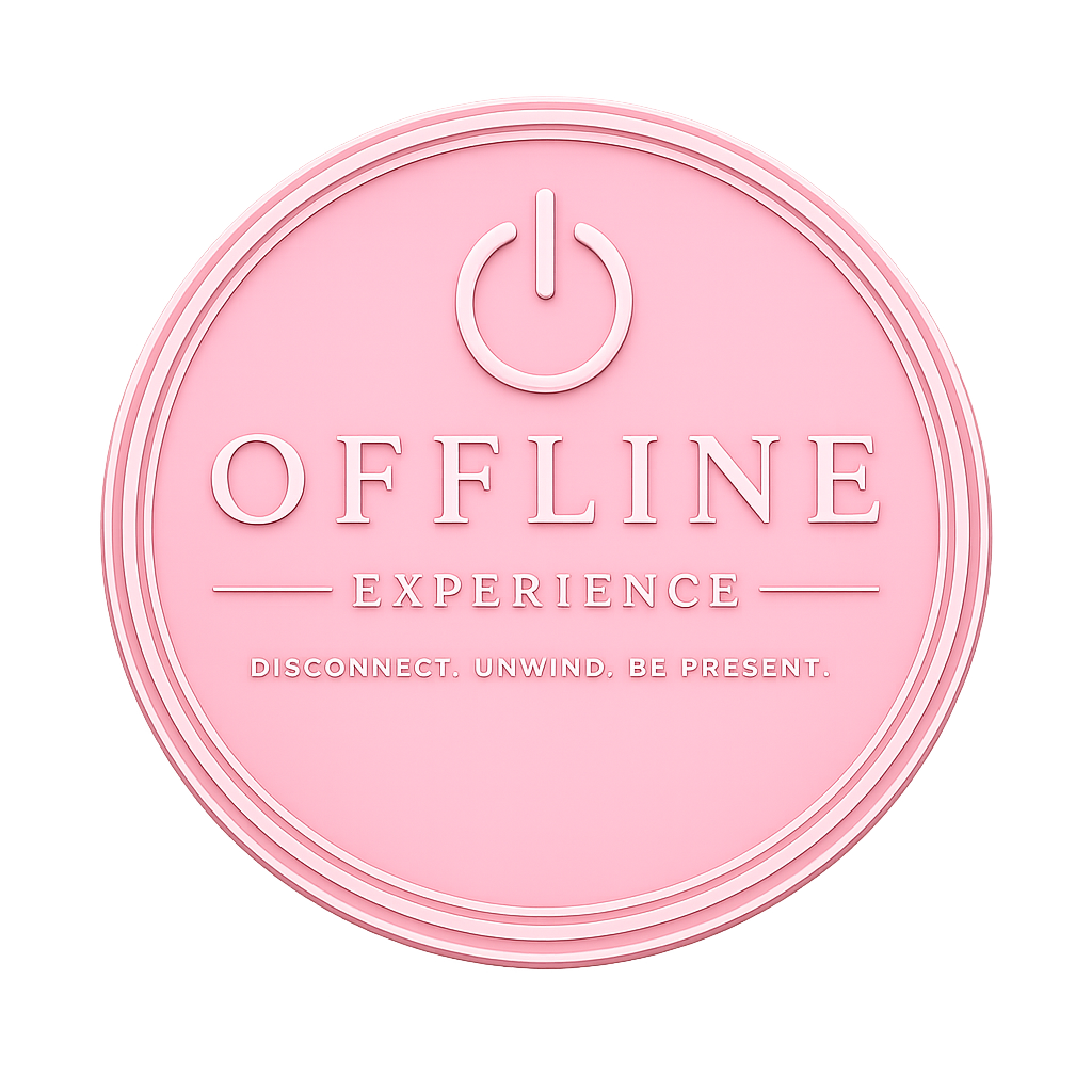 OFFLINE EXPERIENCE