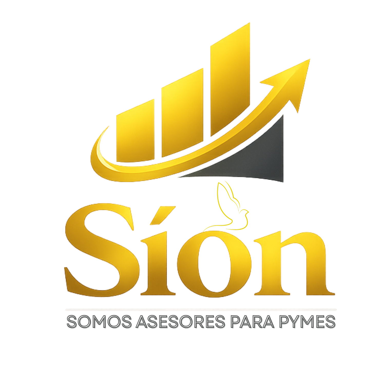 SION ASESORES PARA PYMES