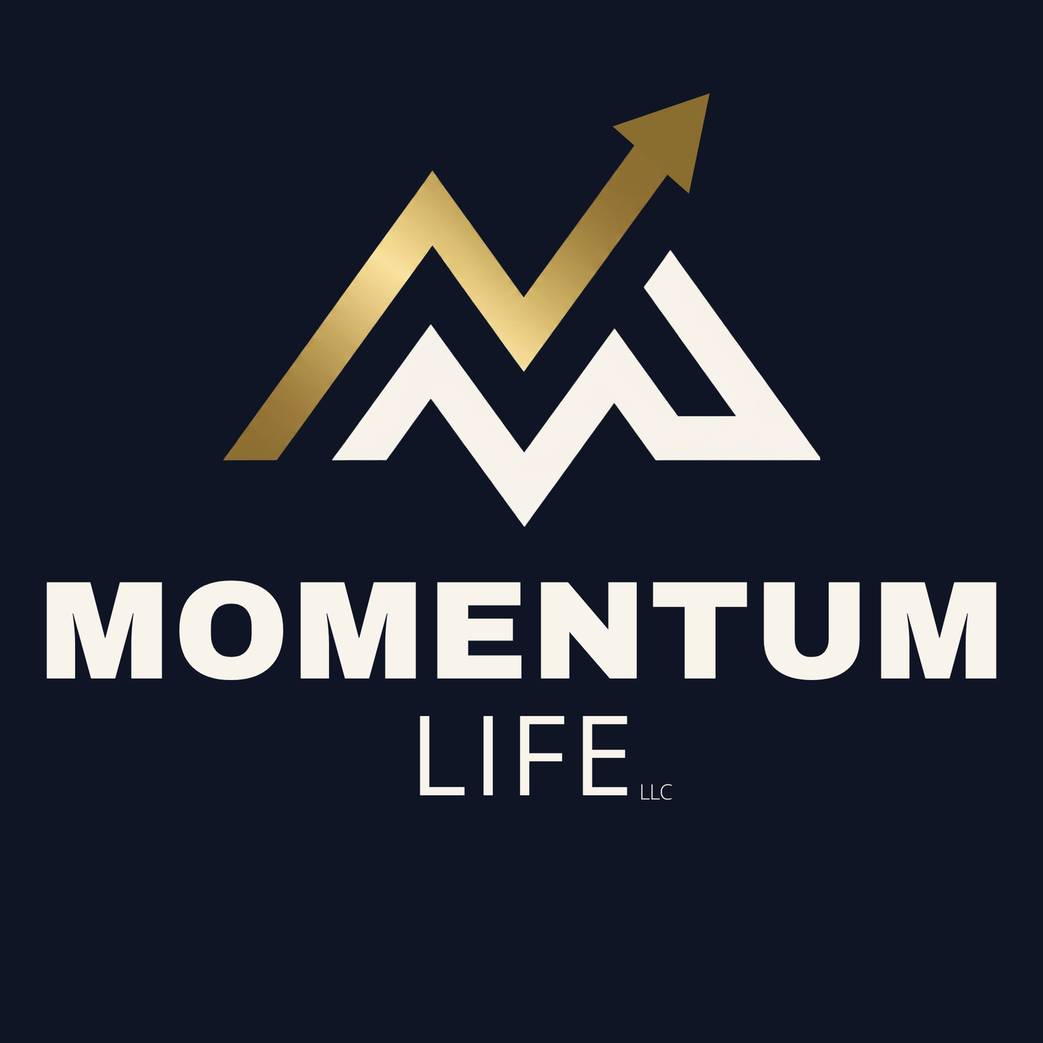 Momentum Life