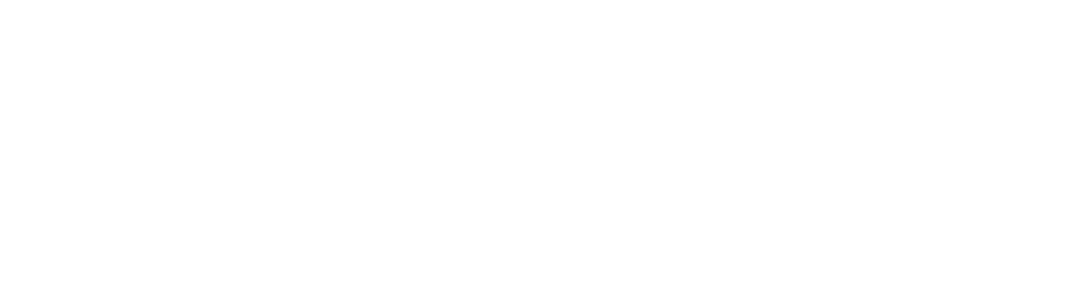 Narwhal Video Studio
