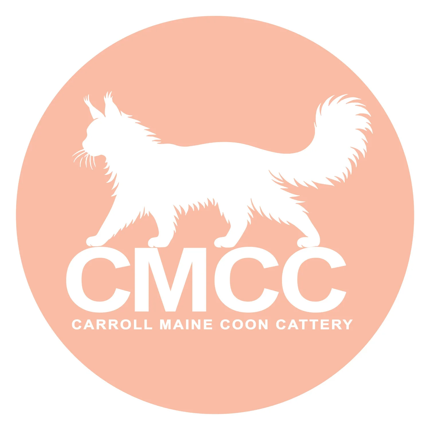 Carroll Maine Coon Cattery