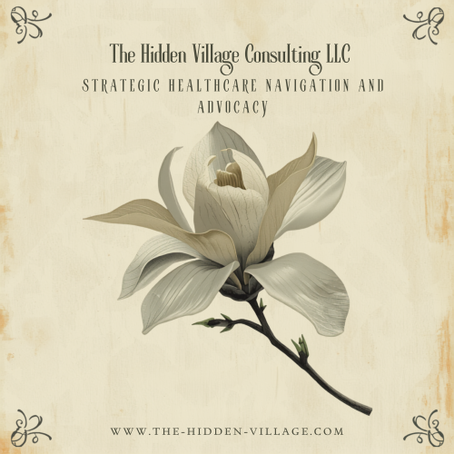 The Hidden Village Consulting LLC