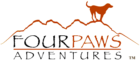 Four Paws Adventures