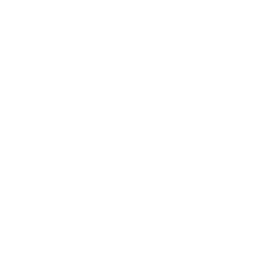 Ocean Dreams