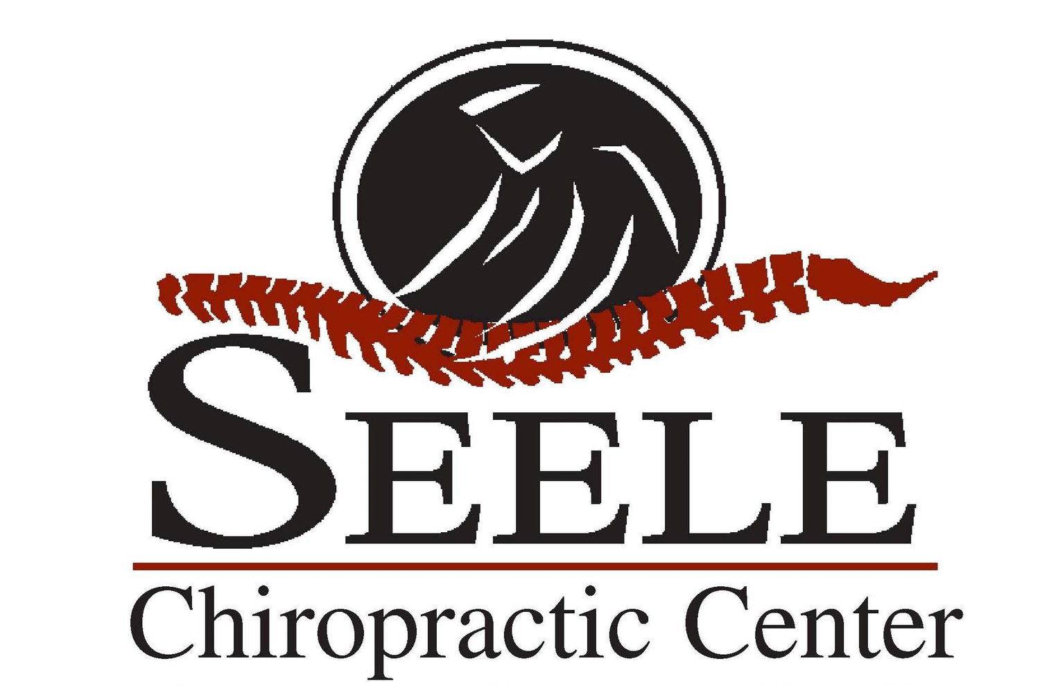 Seele Chiropractic Center