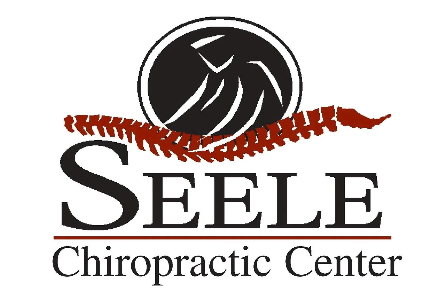 Seele Chiropractic Center
