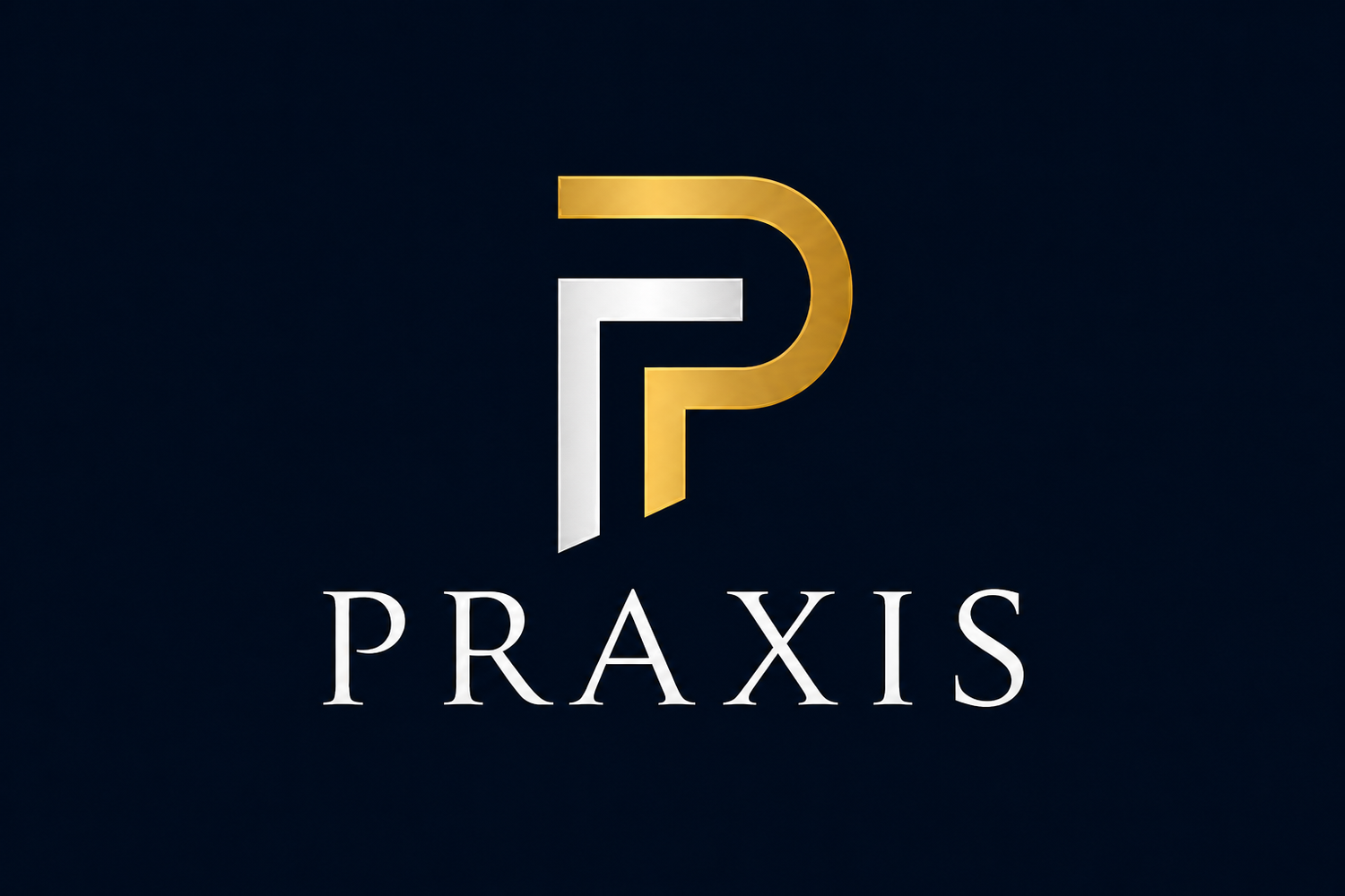 Praxis Performance & Turnaround Partners, LLC