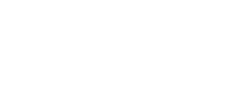 TAYVIC Solutions