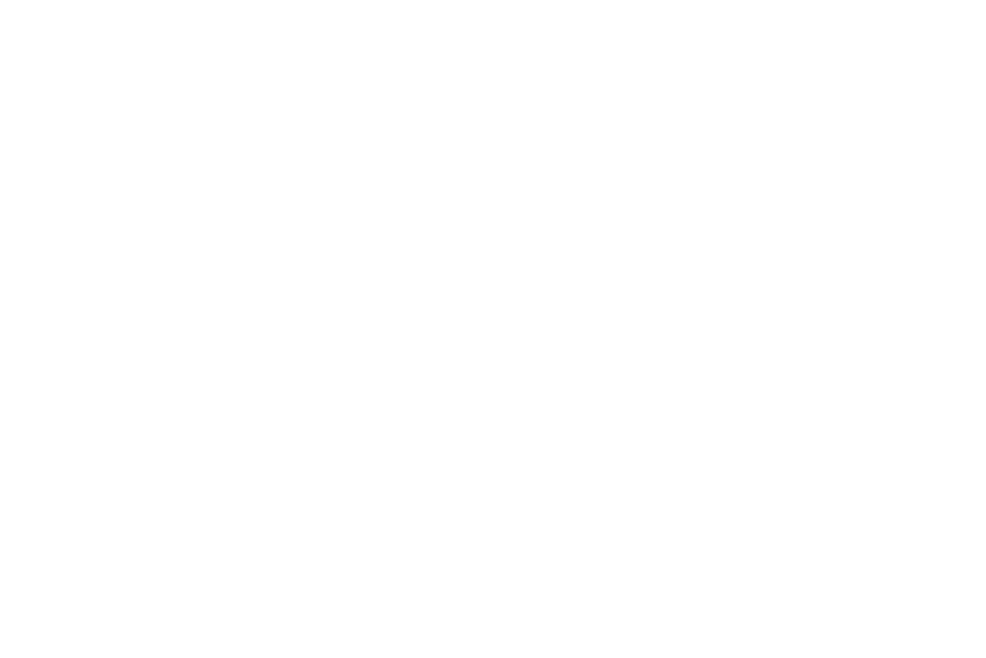 Westside Leadership Institute