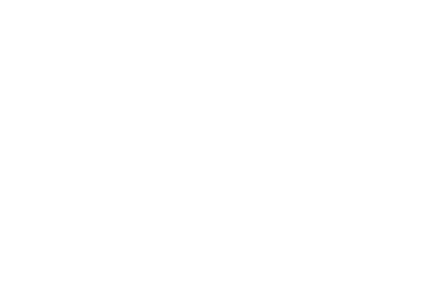 Westside Leadership Institute
