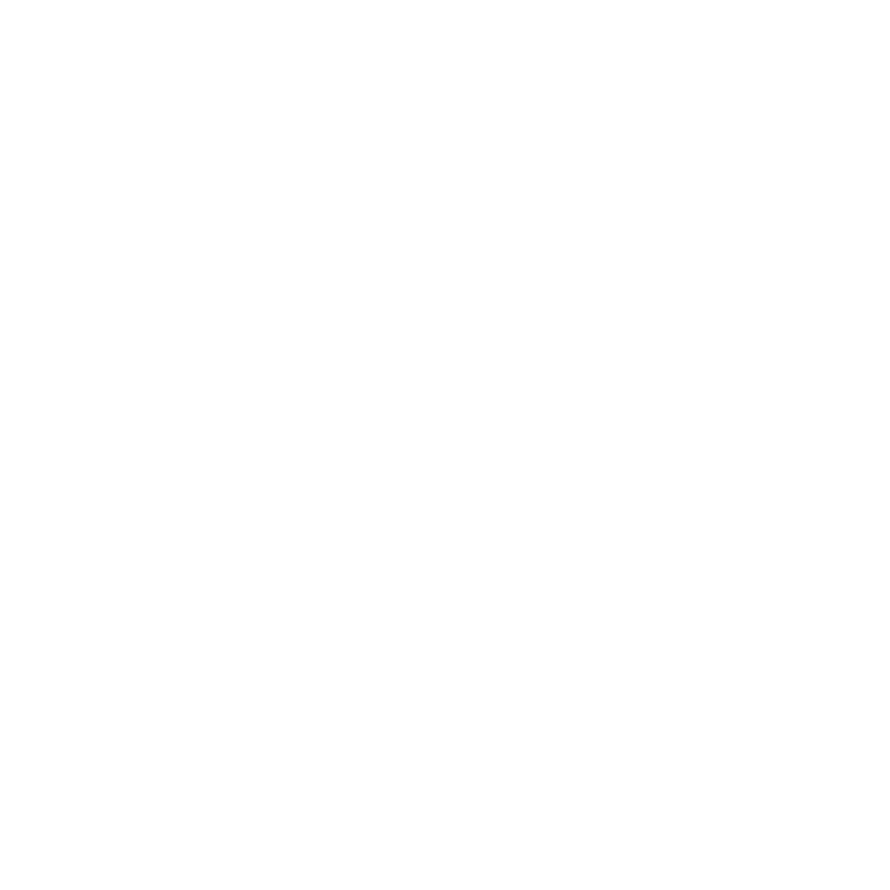 Walters Technology Group