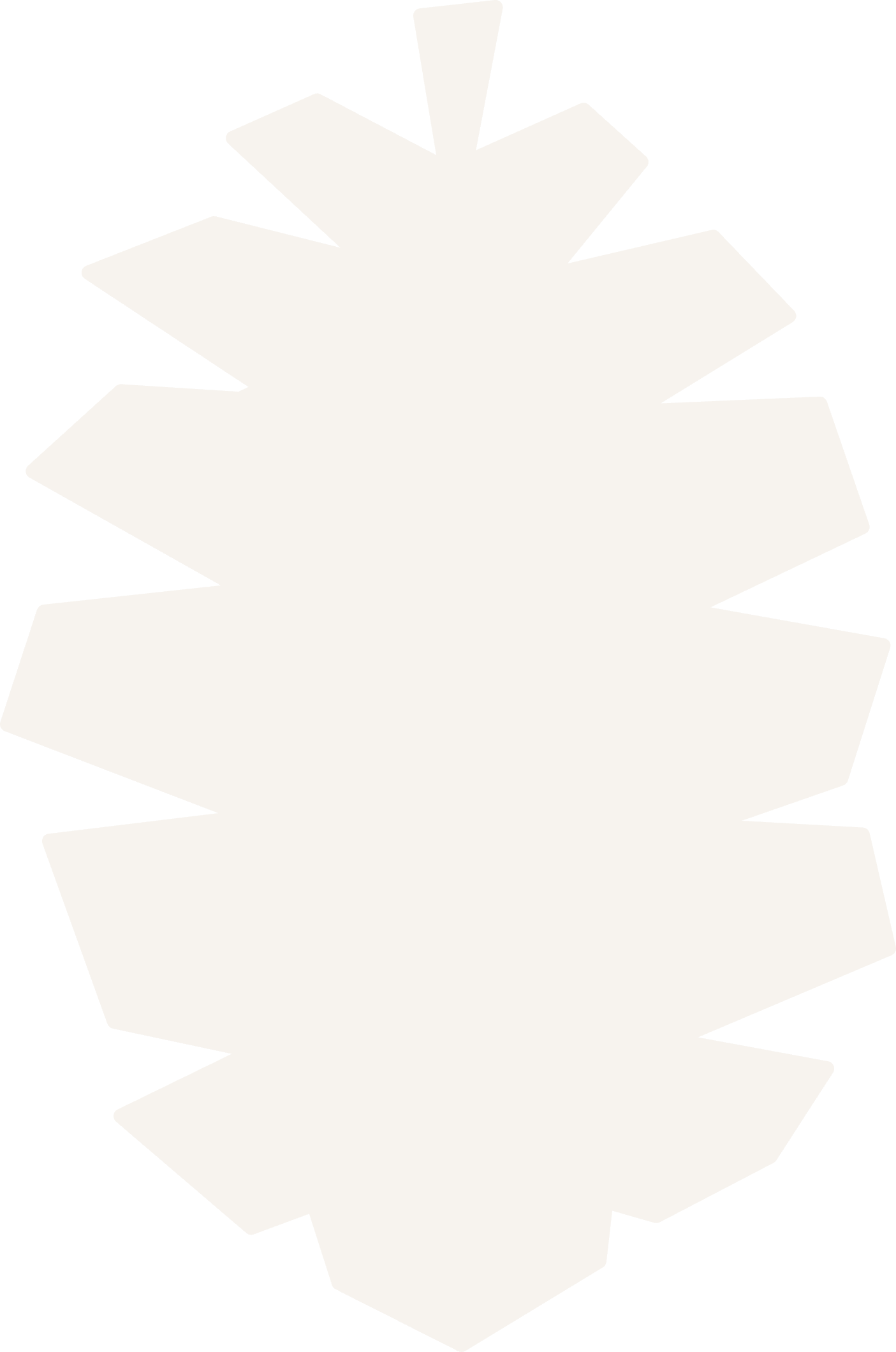 Pinecone Florals