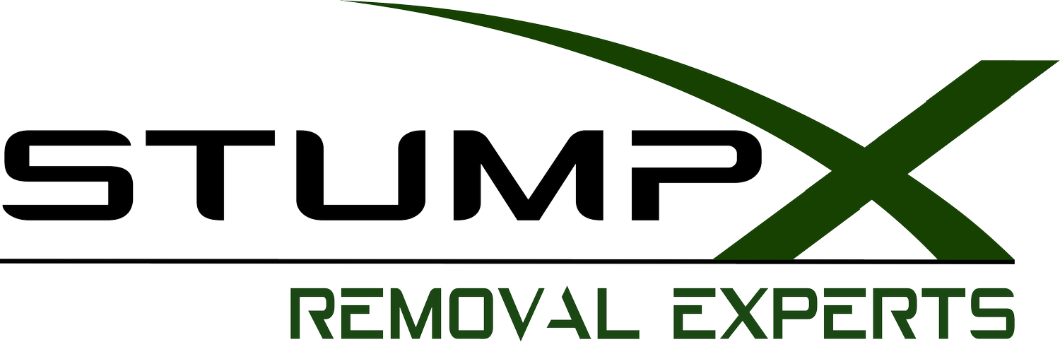Expert Stump Grinding and Root Removal
