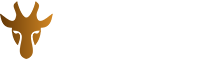 Okapi Global