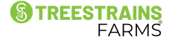 Your Site Title