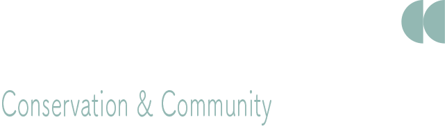 Vamizi