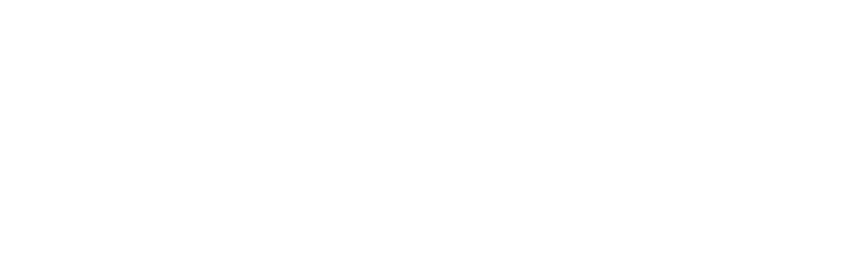 cavart studio