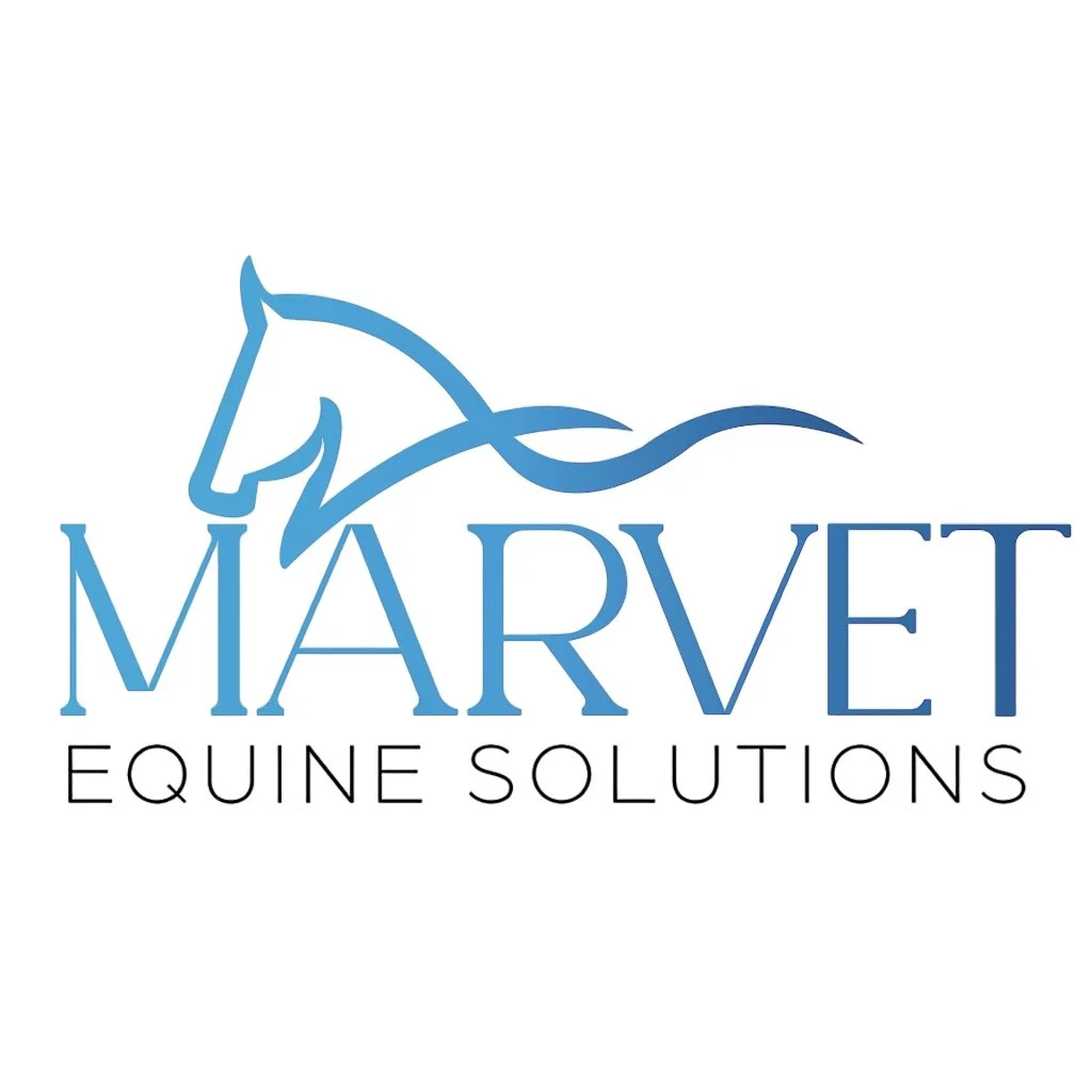 MARVET Equine Solutions