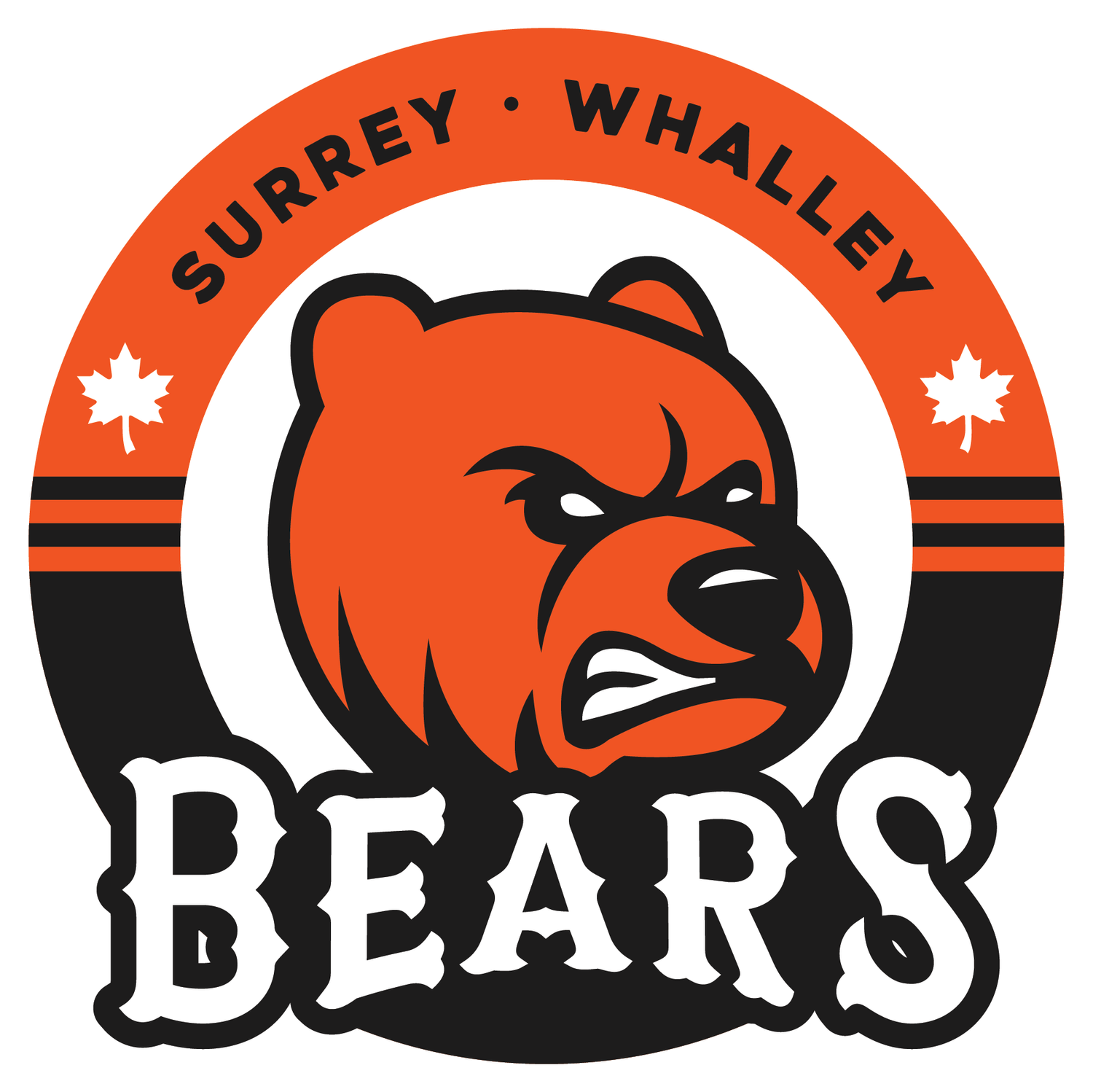 Surrey Bears