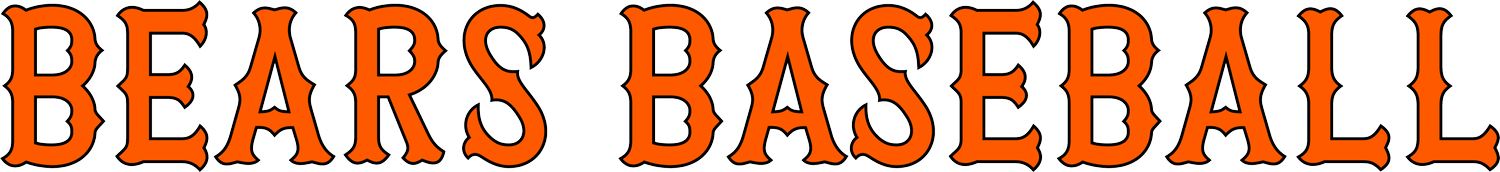 Surrey Bears