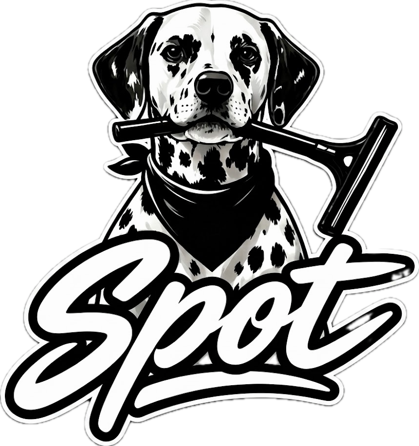SPOT WINDOW CLEANING