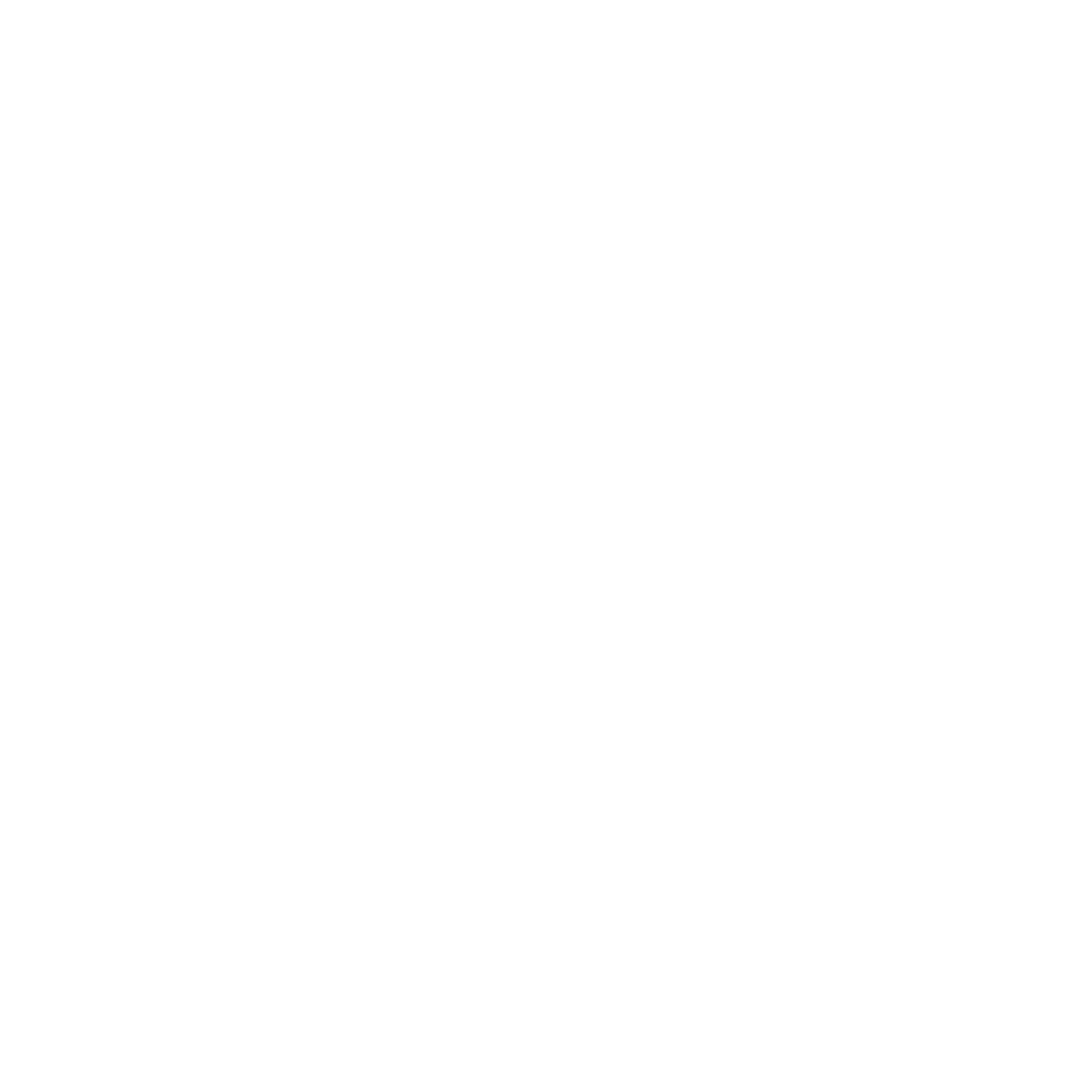 TonyWild Foundation