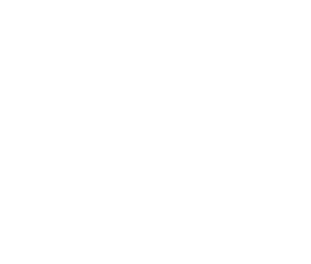 Next Level