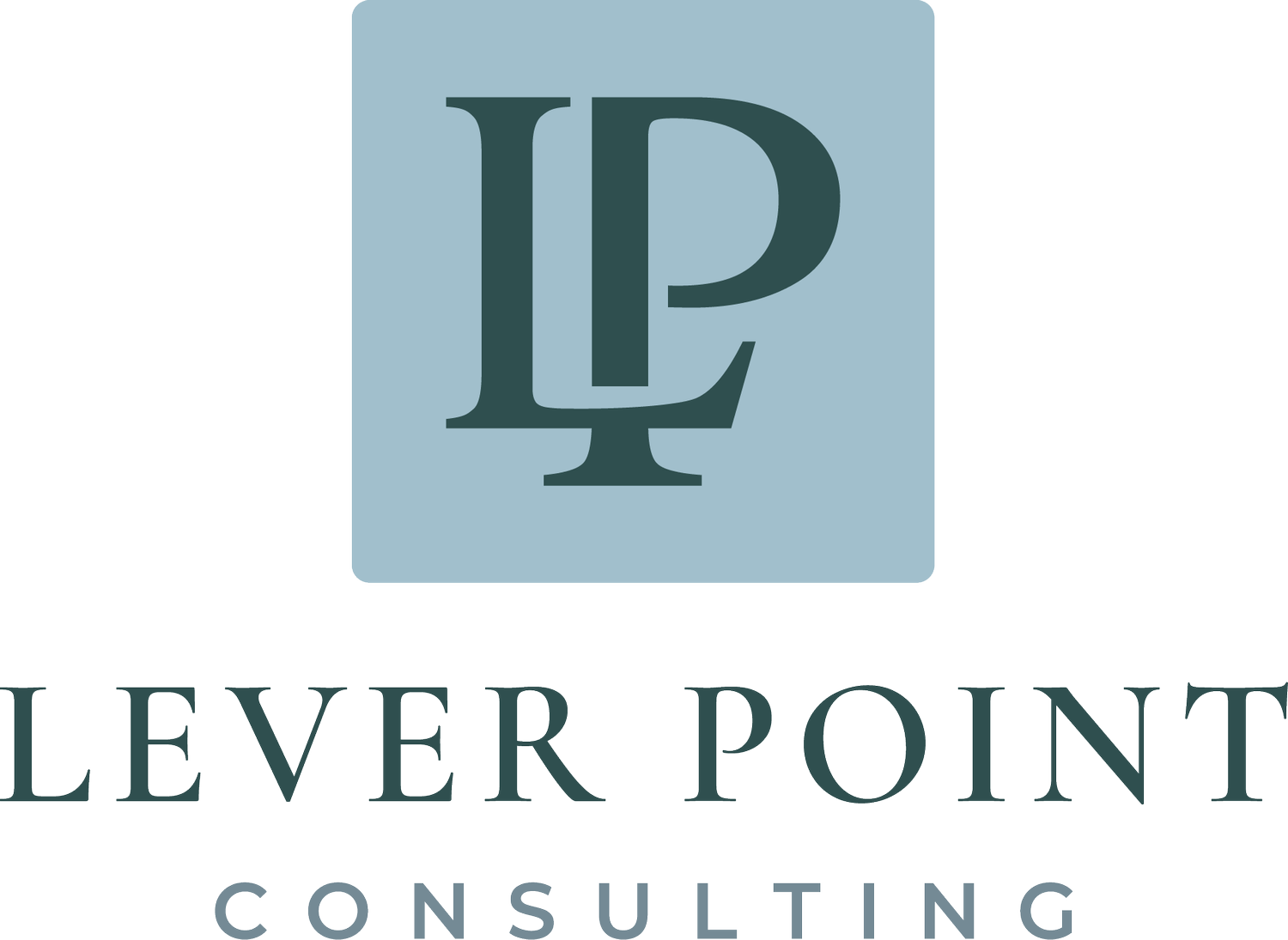 Lever Point Consulting
