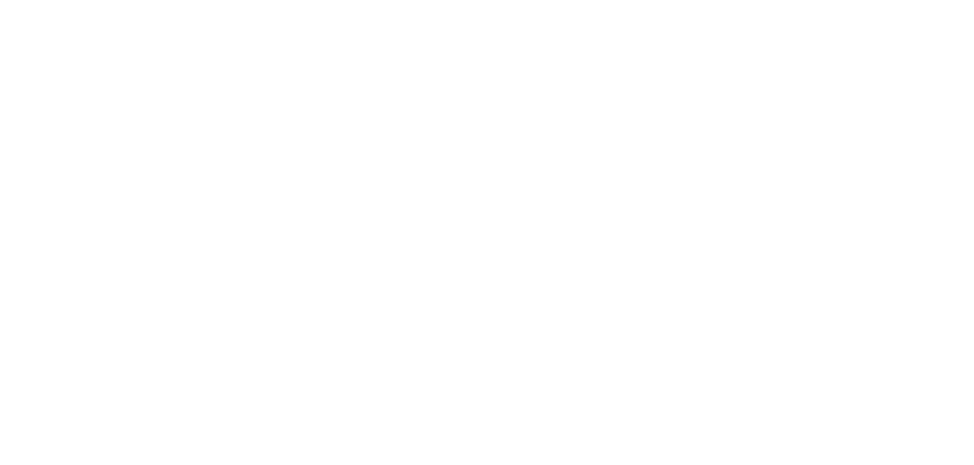 Vancouver Chinatown Foundation