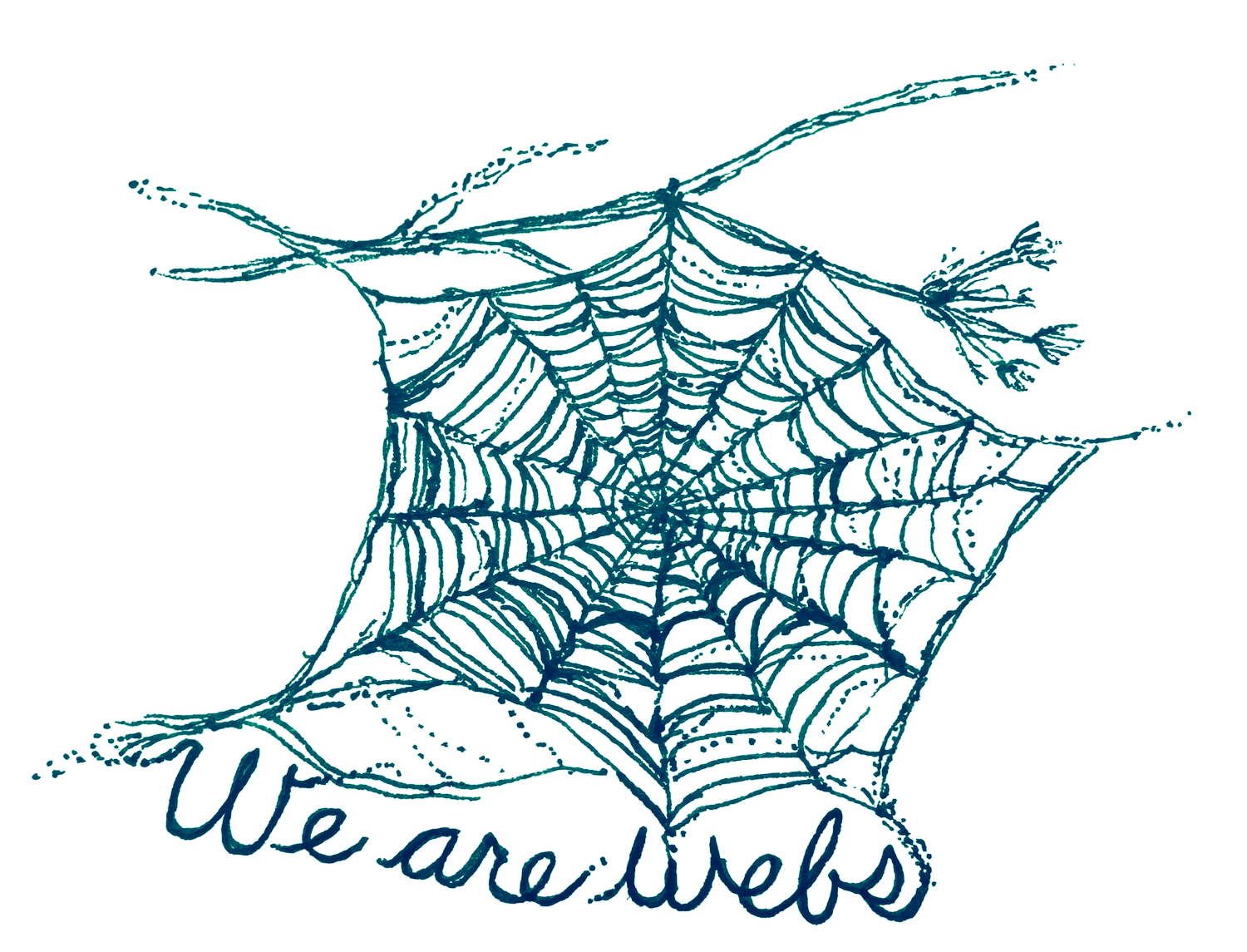 We Are Webs
