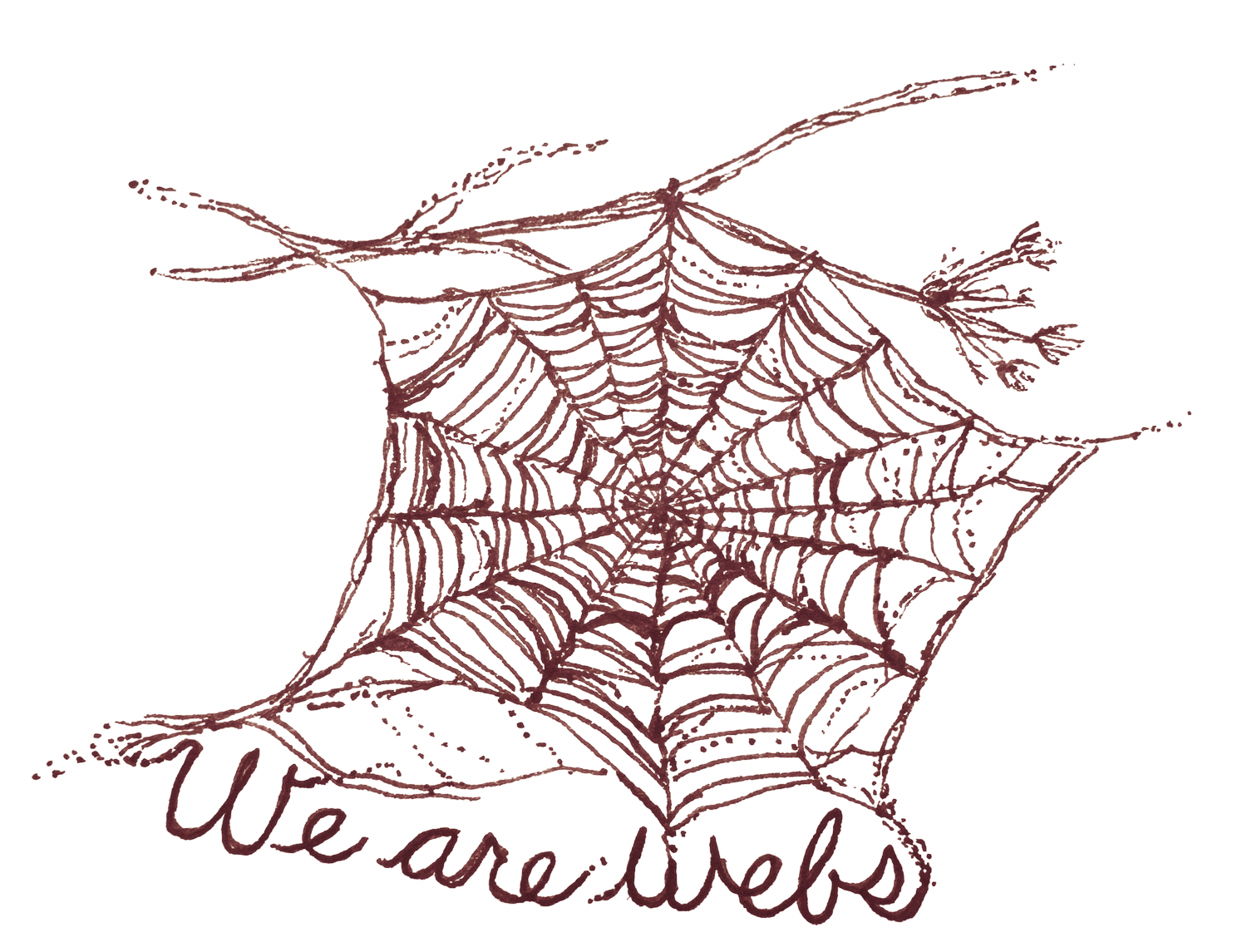 We Are Webs