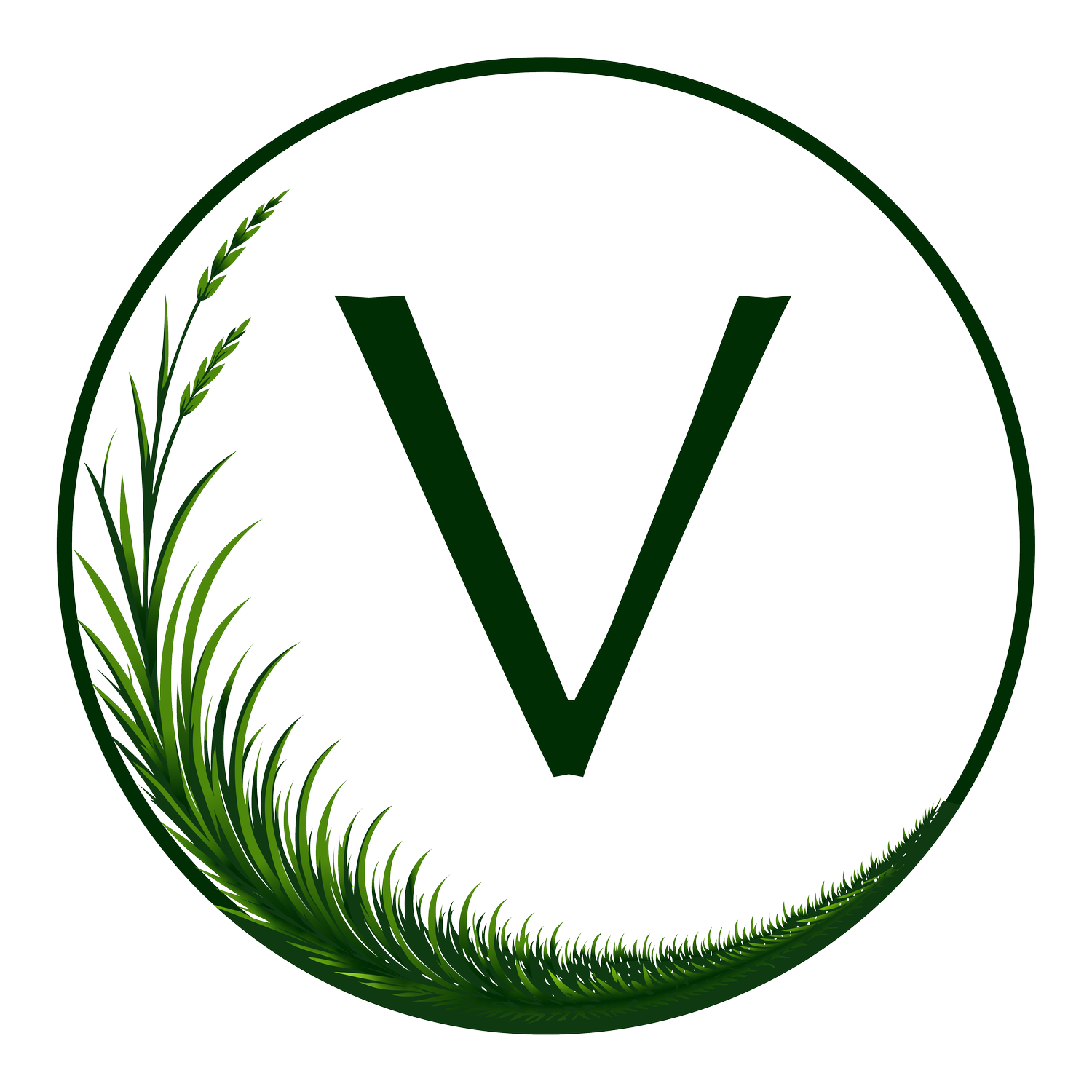 Verdise