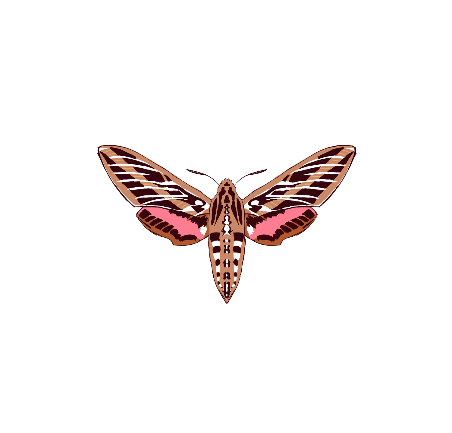 HawkMoth Farm