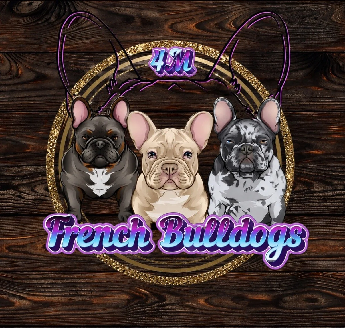 4M French Bulldogs