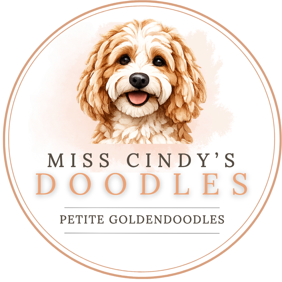 Miss Cindy's Doodles