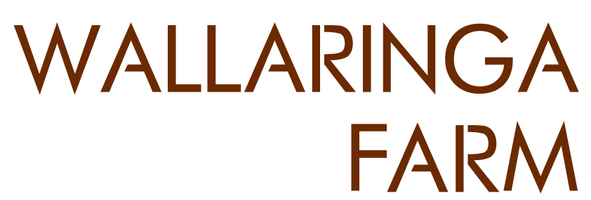 Luxury Farm Stay Holidays in New South Wales | Wallaringa Farm