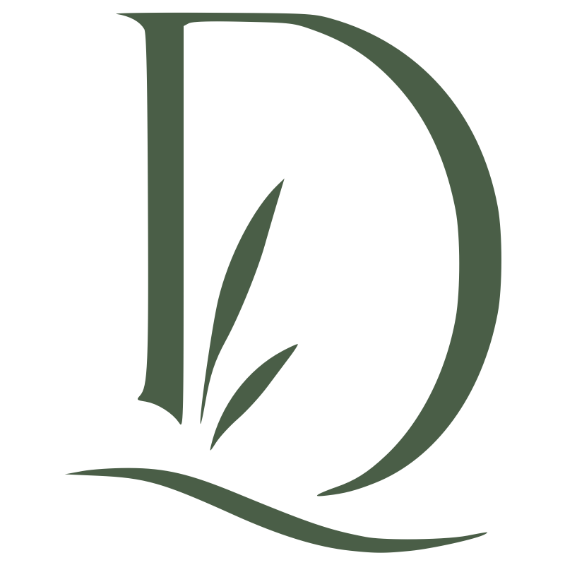 DELTA VIEW RENTALS