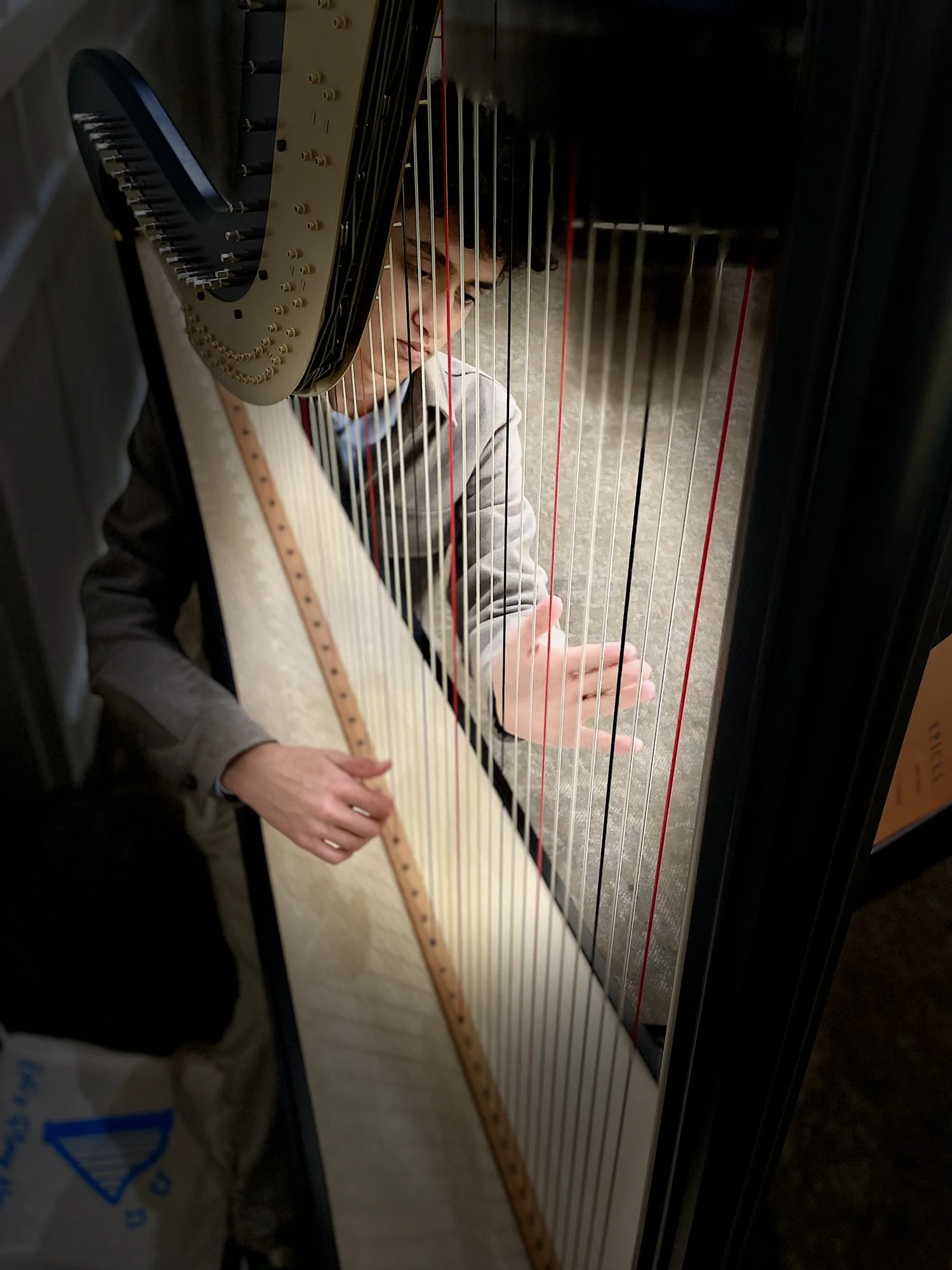 Xander Shah - SoCal Event Harpist