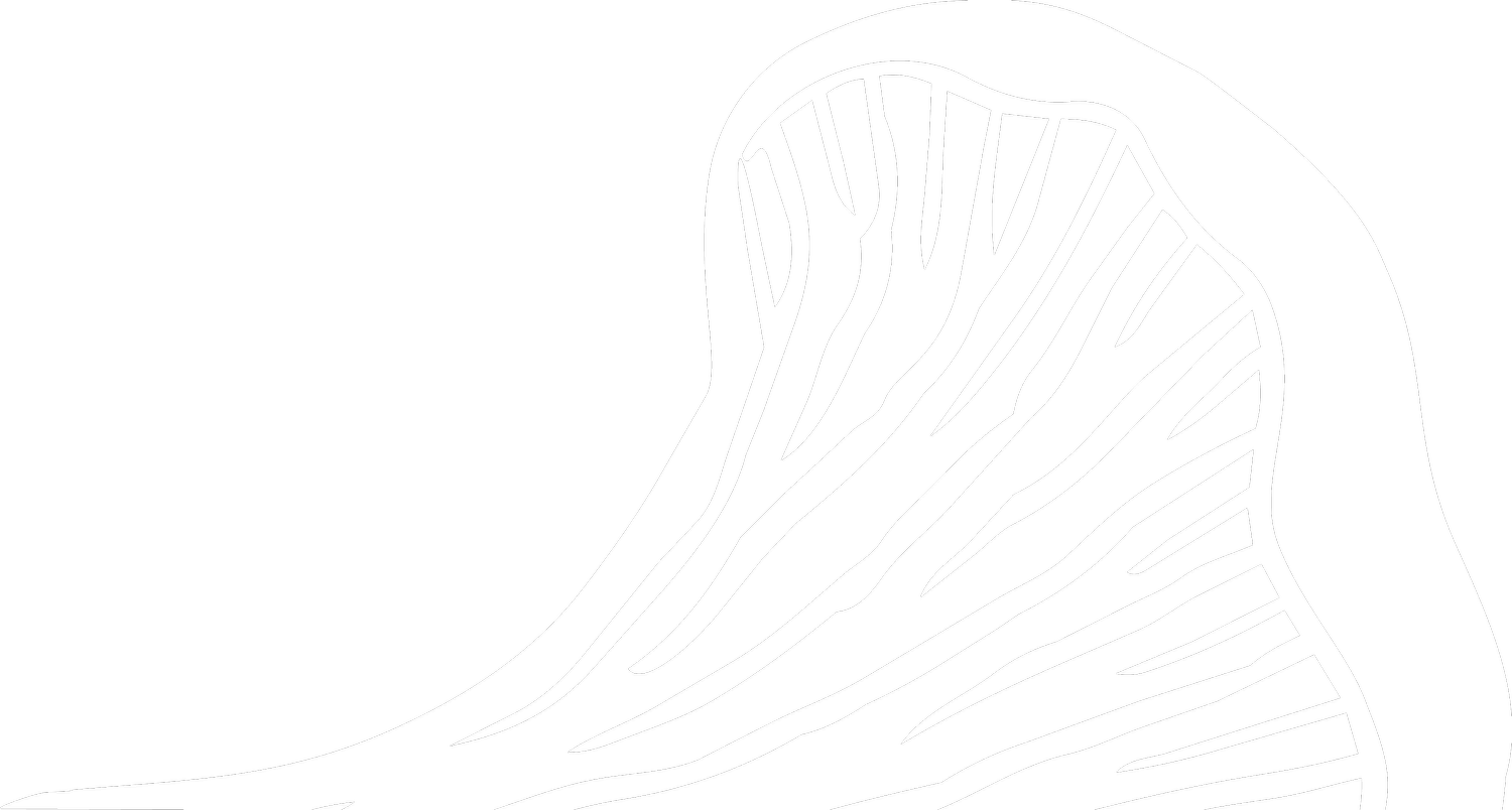TerraSurf
