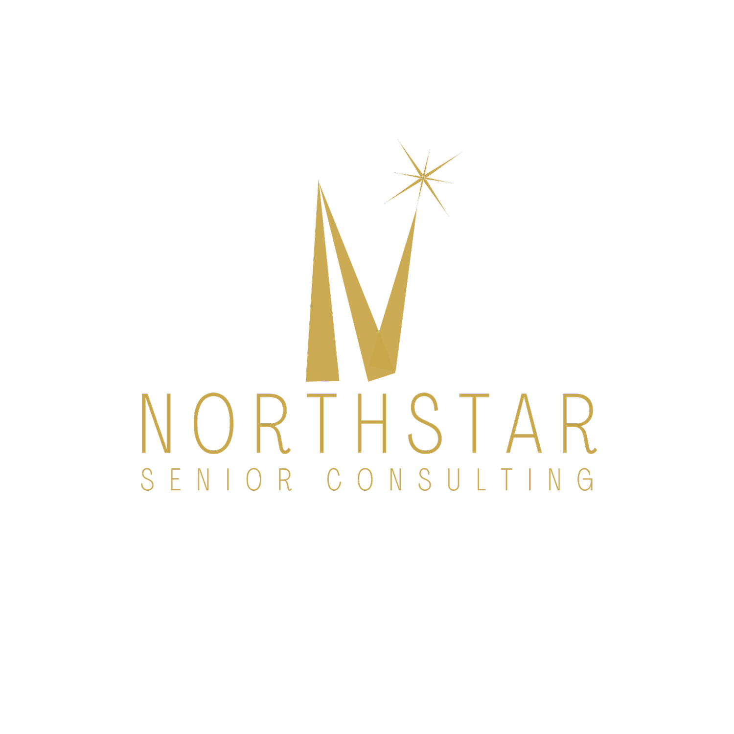NorthStar Senior Consulting