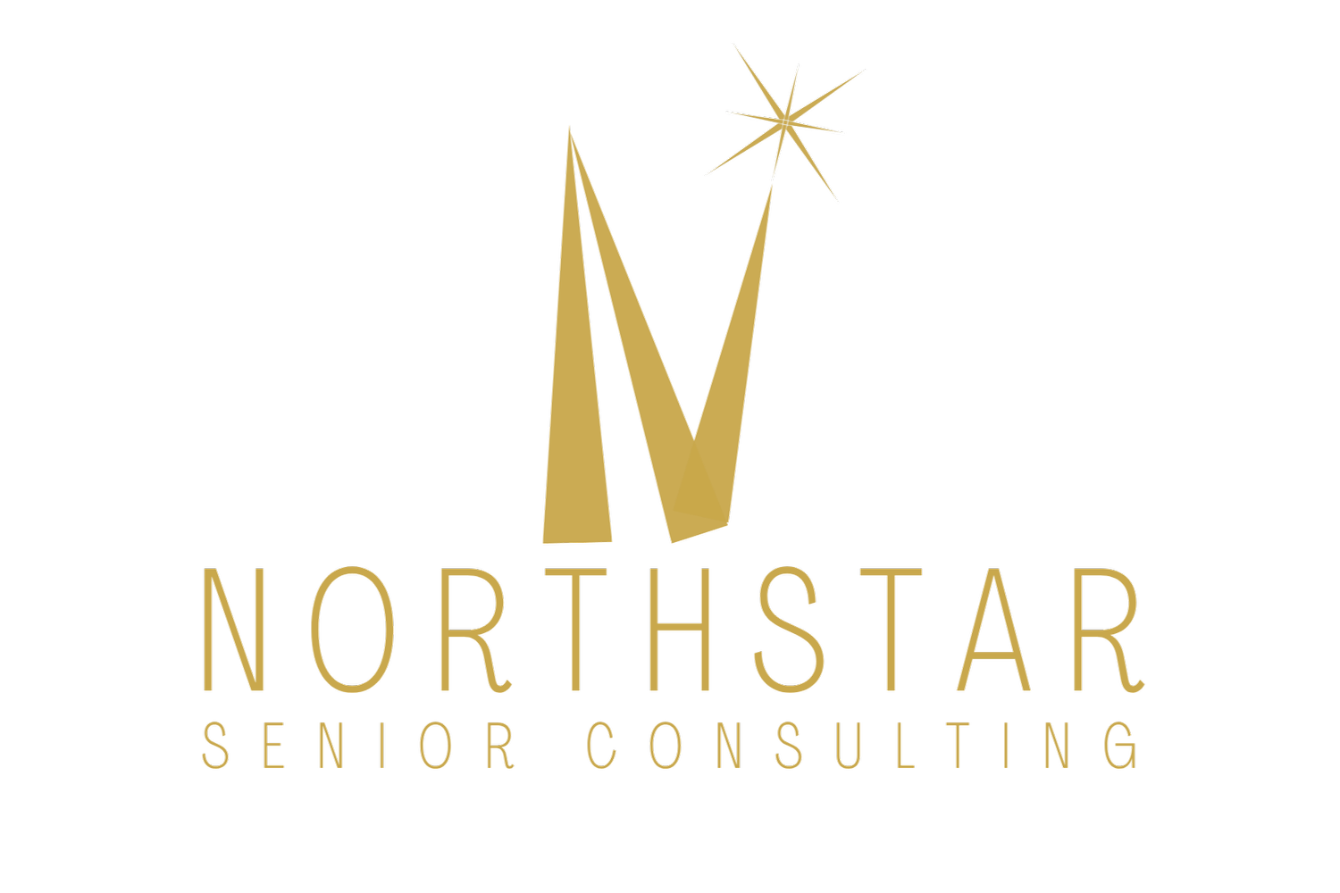 NorthStar Senior Consulting