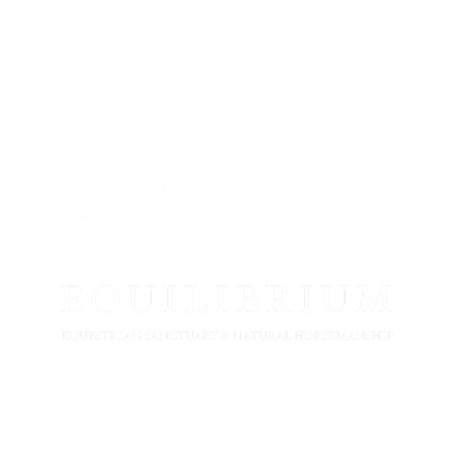 Equilibrium