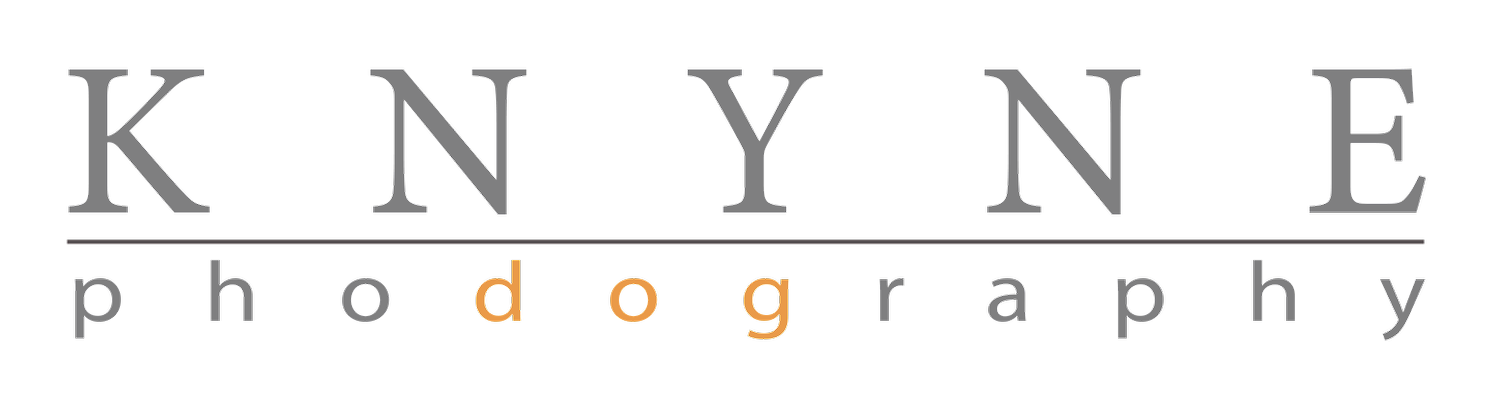 Your Site Title