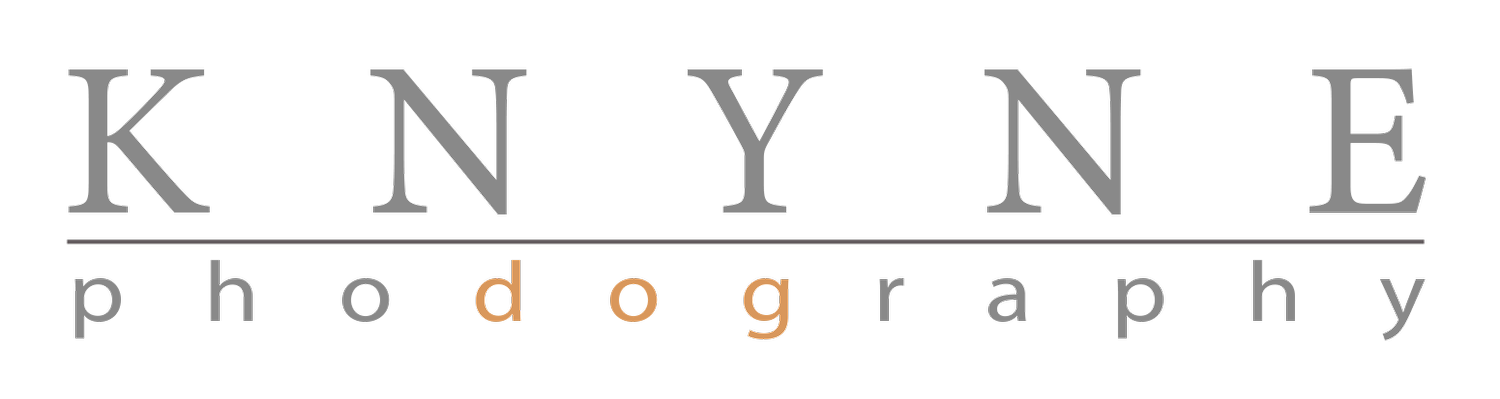 Your Site Title
