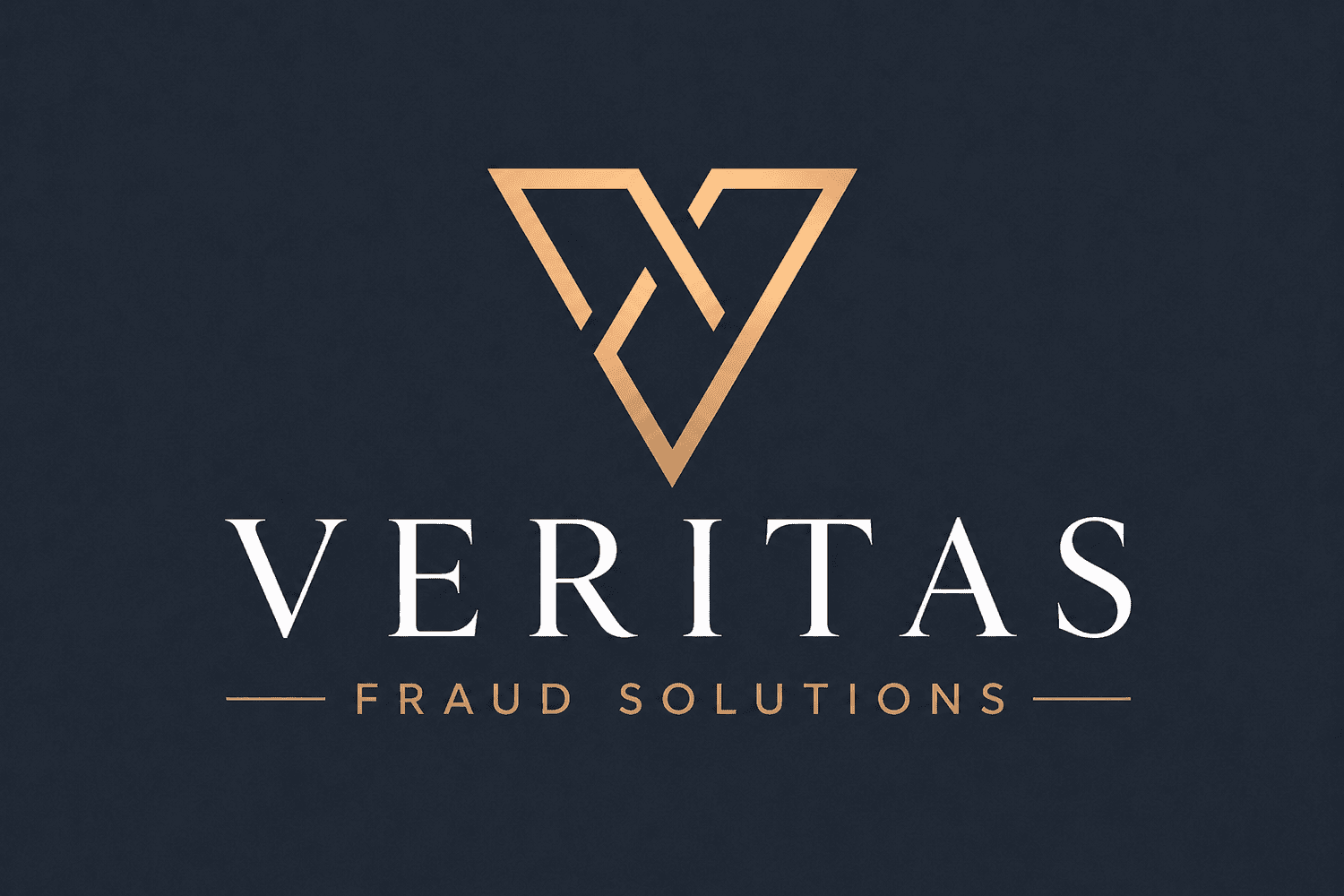 Veritas Fraud Solutions